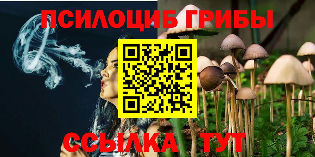 Сертолово  Псилоцибиновые грибы мухоморы  Вход с VPN 